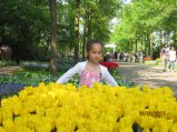 177-IMG_0248.JPG.small.jpeg