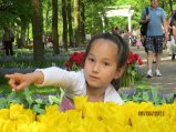 180-IMG_0251.JPG.small.jpeg