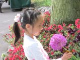 181-IMG_0252.JPG.small.jpeg