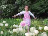 184-IMG_0256.JPG.small.jpeg