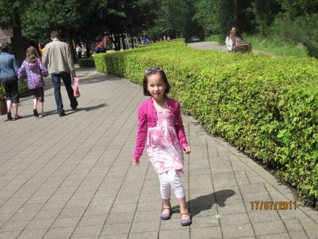 223-IMG_0462.JPG.medium.jpeg