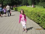223-IMG_0462.JPG.small.jpeg