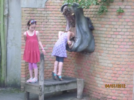 036-IMG_1450.JPG.medium.jpeg