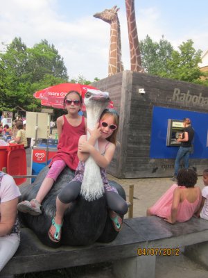 037-IMG_1451.JPG.medium.jpeg