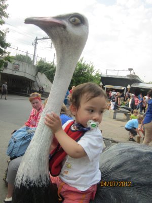 042-IMG_1456.JPG.medium.jpeg