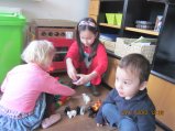 064-IMG_2156.JPG.small.jpeg