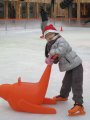 137-IMG_3271.JPG.small.jpeg