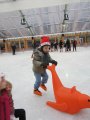 138-IMG_3272.JPG.small.jpeg